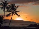 Picture for song 'Sunset (Instrumental) Free Download!' by artist 'I C Y'