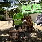 Picture for song 'GUTTA FEAT YOUNG BUCK BABY HANIBAL( BRICKS)' by artist 'jguttaman'