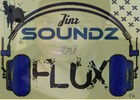 Picture for song 'HOTNESS' by artist 'JinxFluxMusic'