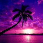 Picture for song 'Purple Dreams (Free D/L)' by artist 'JO Beatz'