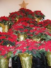 Picture for song 'O Little Town of Bethlehem (Forest Green)' by artist 'John Robert Whitney'