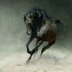 Picture for song 'Dark Horse' by artist 'Just Lorenzo'