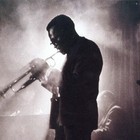 Picture for song 'Miles Davis on you b*** es.mp3' by artist 'Kangaroo Pimp'