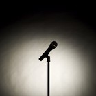 Picture for song 'HAUNTED MIC (FREE DOWNLOAD)' by artist 'Kaotic-Solutions'