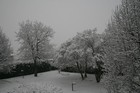 Picture for song 'Let it Snow' by artist 'Ken Lasaine'