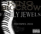 Picture for song 'critical analysis' by artist 'King Big Crow'