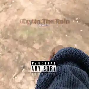 Picture for song 'yt1s.com - KingFiroCry In The Rain' by artist 'King Firo'