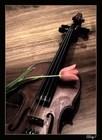 Picture for song 'Violonic Crisis' by artist 'Kypee Bxtch'