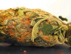 Picture for song 'Weed (L.A.N.M)' by artist 'Late At Night Music'