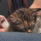 Picture for song 'Old Pictures' by artist 'MC Sympathy'