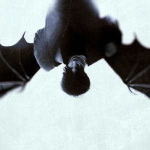 Picture for song 'fade (prod. by milO & NotFixIT)' by artist 'milOoo'