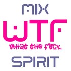 Picture for song 'What The F***' by artist 'MixSpirit'