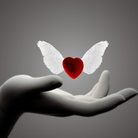 Picture for song 'Love You Son (Pop Beat)' by artist 'Mozart Jones Productions (Mozarts Beats)'