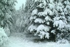 Picture for song 'I Make It Snow (FREE DOWNLOAD)' by artist 'Mr.Kooman'