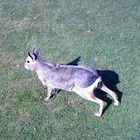 Picture for song ''Happy Summer'' by artist 'Nadia Cripps'