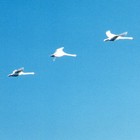 Picture for song 'Fly Away' by artist 'Neil and Geoff'