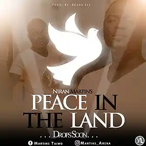 Picture for song 'peace in the land_8-1' by artist 'Niran martins'
