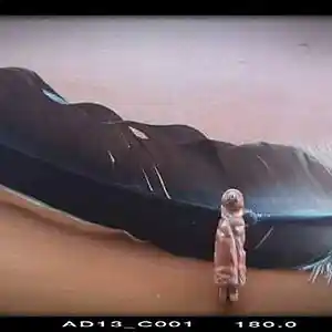 Picture for song 'Trailing Prairie Range of Tears' by artist 'Queen Nefer Aset Titi Cleo She Bah and ?'