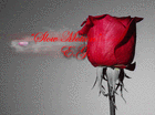 Picture for song 'Slow Motion ( Instrumental)' by artist 'Rawe Quality Beats'