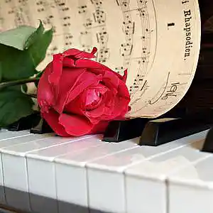 Picture for song 'The Beauty Within (feat. Anthony Prezio)' by artist 'Round The Globe'