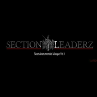 Picture for song 'Go Hard (instrumental)' by artist 'Section Leaderz'
