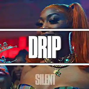 Picture for song '"DRIP" Afro Drill Type Beat Ms Banks Type Beat' by artist 'Silent The Producer'