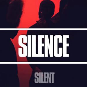 Picture for song '"Silence" Kwengface x Russ Millions Type Beat Afr' by artist 'Silent The Producer'