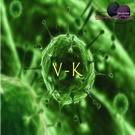 Picture for song 'V-K' by artist 'Skyros'