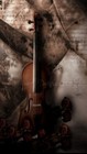 Picture for song 'Duelling Violins' by artist 'Sonic Sjaak'