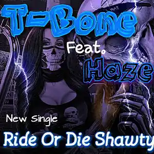 Picture for song 'Ride Or Die Shawty (Final)' by artist 'South Stylz Ent Artist T-Bone'