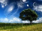 Picture for song 'Strange Dreams (Instrumental)' by artist 'Denzlo'