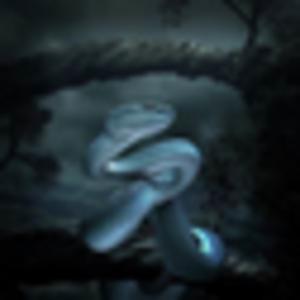 Picture for song 'SLITHERING (BUY 1 GET 4 FREE)' by artist 'THISNTHAT'