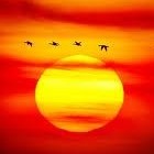 Picture for song 'Only a Glimpse' by artist 'Thomas Kerr'