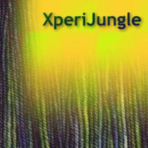 Picture for song 'XperiJungle' by artist 'TranceUK'