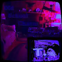 Picture for song 'Old School Charm' by artist 'Turtle Necromancer'