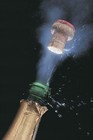Picture for song 'champaign music' by artist 'Tygee beats'