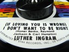 Picture for song 'I Don't Wanna Be Right (Remix)' by artist 'Wayne Stax'