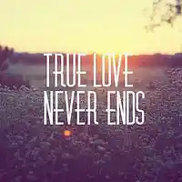 Picture for song 'True Love (No low version)' by artist 'Widmison Beats'