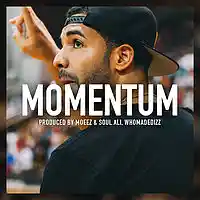 Picture for song 'Momentum (Prod. by Moeez & Soul Ali, WhoMadeDizz)' by artist 'MoeezandSoulAli'