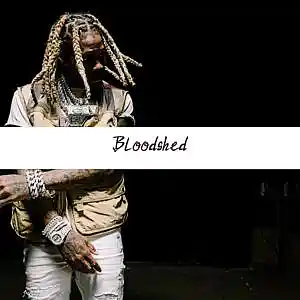 Picture for song 'Bloodshed (Lil Durk Type Beat) - Devezin.com' by artist 'Devezin'