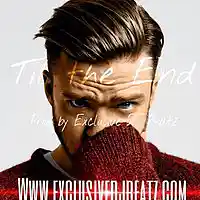 Picture for song 'Til The End (R&B Smash) Buy 1 Get 3 Free' by artist 'Exclusive DJ Beatz'