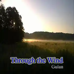 Picture for song 'Through the Wind' by artist 'gulan'
