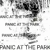 Picture for song 'Panic At The Park' by artist 'J. JOHANSSON'