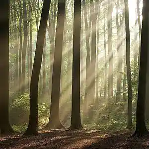 Picture for song 'AMBIENT BEAT' by artist 'NIGHTA'