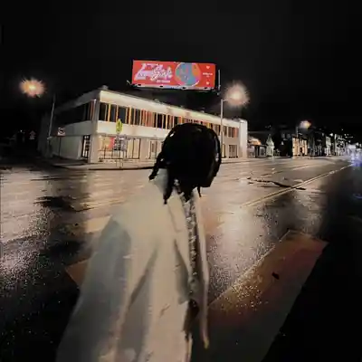 Picture for song 'SAINT (5 Unlimited for $50)' by artist 'No30music'