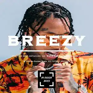 Picture for song 'Tyga "Breezy" BUY 2 GET 1 FREE' by artist 'No Excuse Beats'