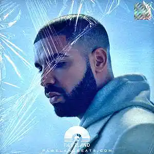Picture for song 'PLAN - (Drake Type Beat, Future Beat)' by artist 'Paweland Beats'