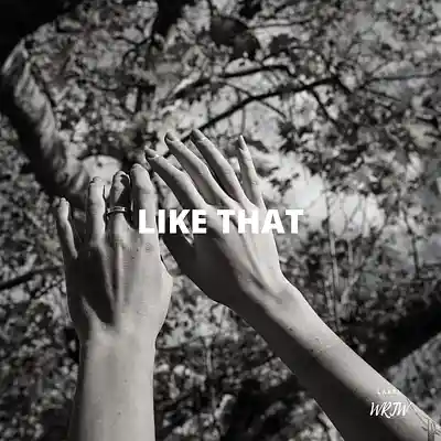 Picture for song 'Like That (Buy 1 Get 10 Free)' by artist 'Kontraa'