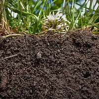 Picture for song 'Dirty 2 ' by artist 'Refined Harmonics'