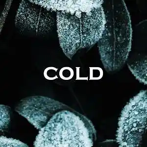 Picture for song 'Cold' by artist 'SadGlad Music'